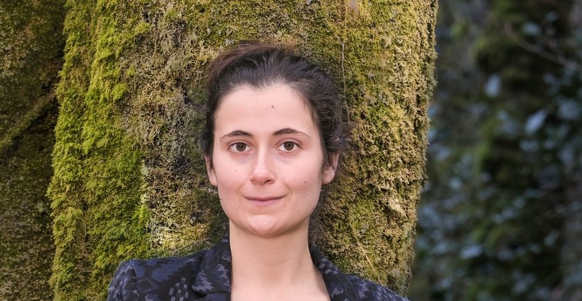 Coline