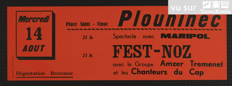 Fest Noz à Plouhinec