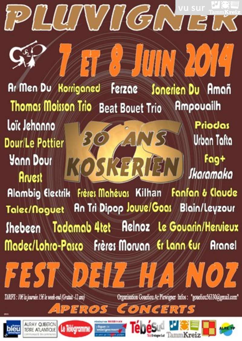 Fest-deiz ha noz à Pluvigner
