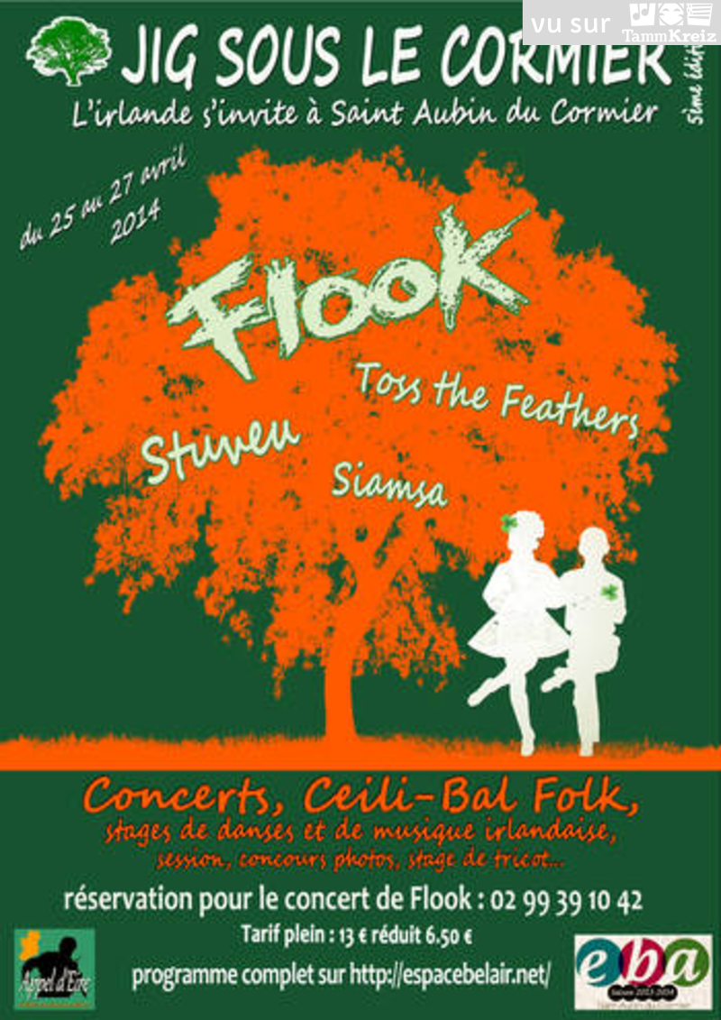Ceili-Fest-Noz à Saint-Aubin-du-Cormier