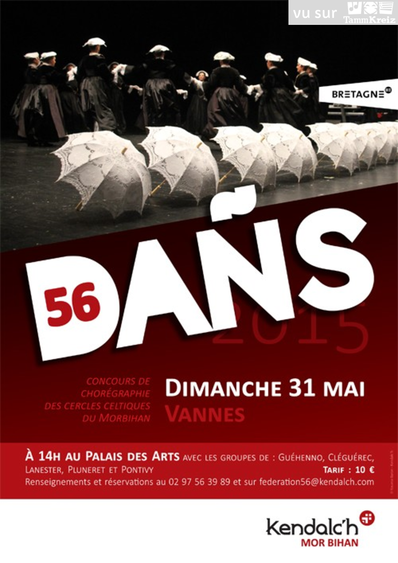 Spectacle à Vannes