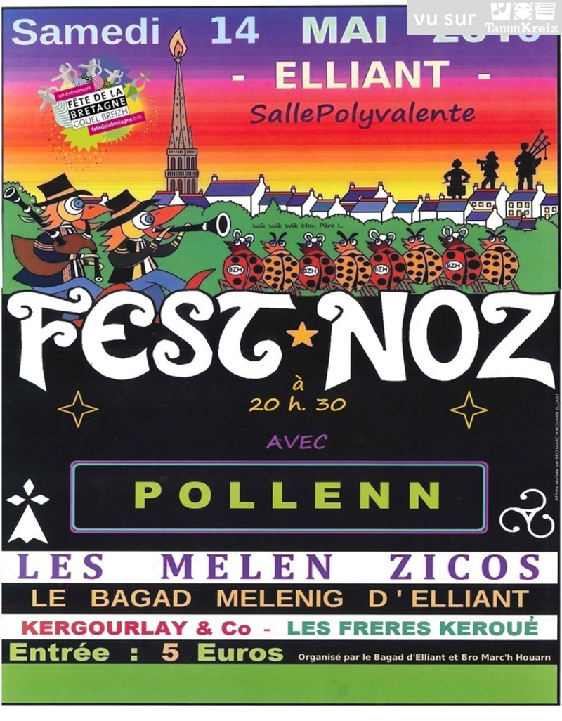 Fest Noz à Elliant