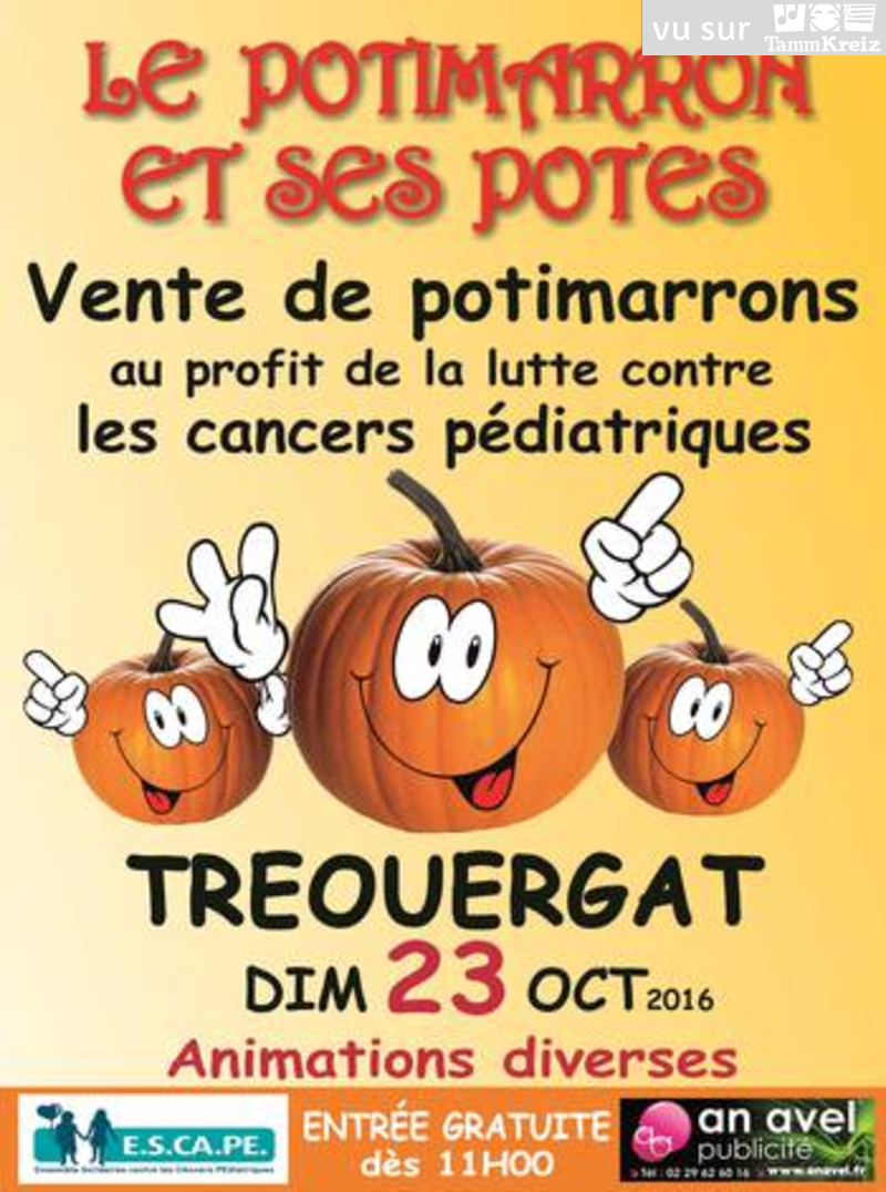 Fest Deiz à Tréouergat