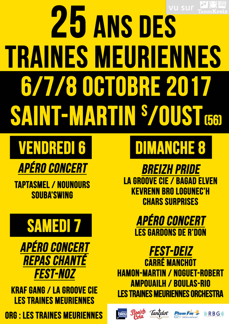 Concert et Fest-Deiz à Saint-Martin-sur-Oust