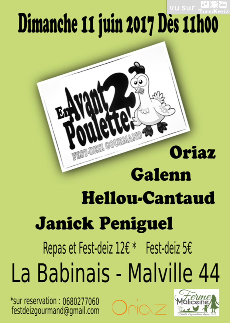 Fest Deiz à Malville