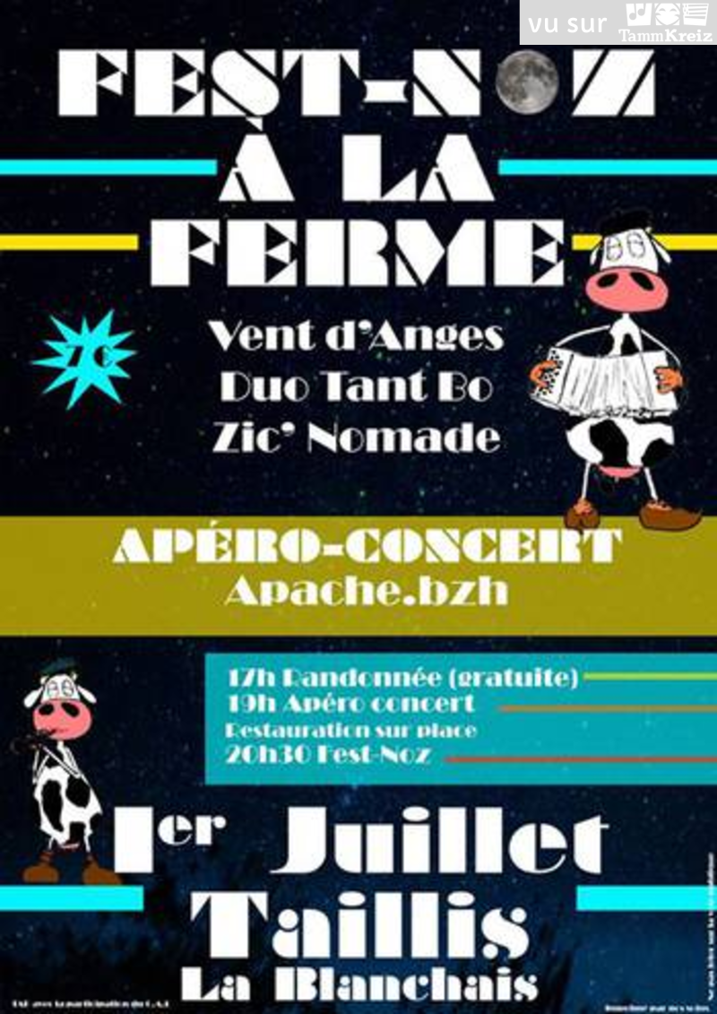 Fest Noz à Taillis