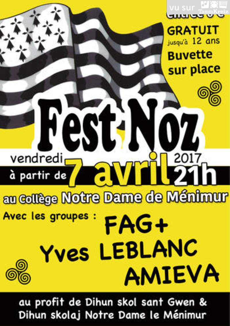 Fest Noz à Vannes