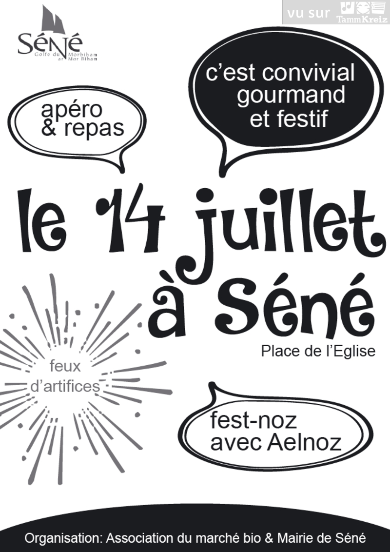 Fest Noz à Séné