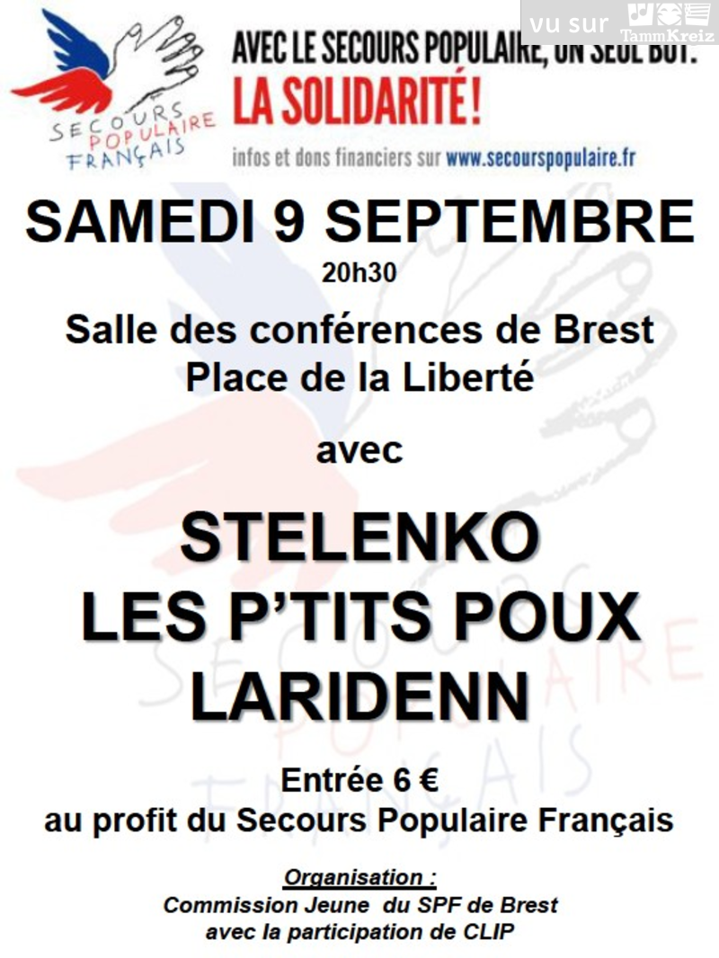 Fest Noz à Brest