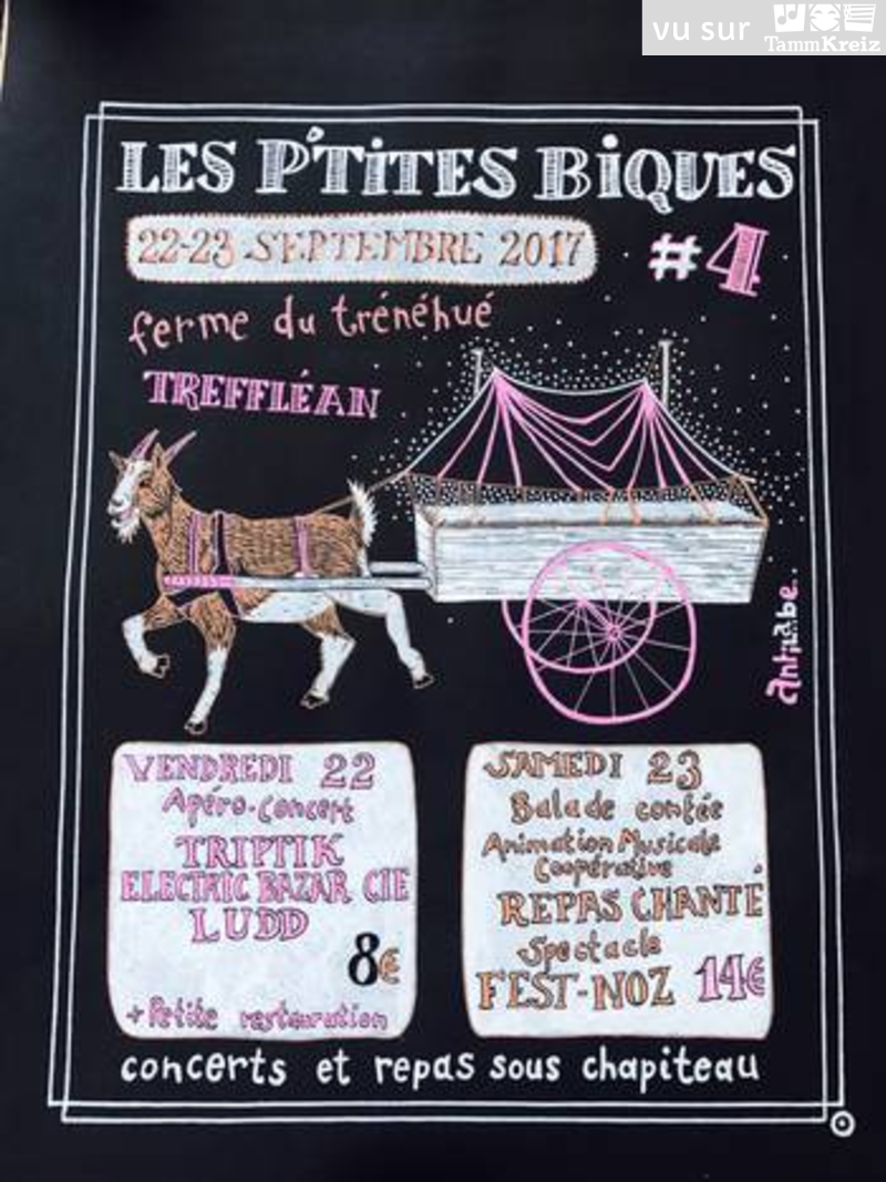 Fest Noz à Tréffléan