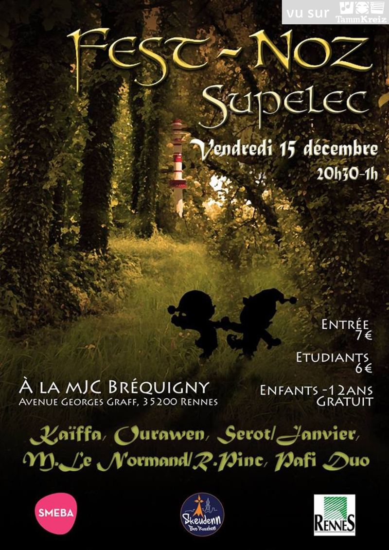 Fest Noz à Rennes