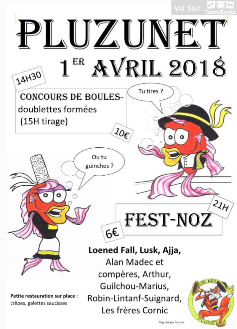 Fest Noz à Pluzunet