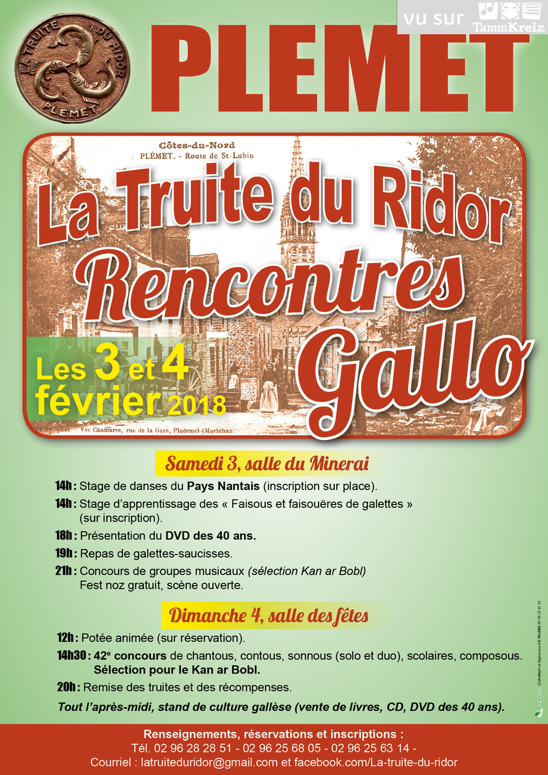 Fest Noz à Plémet