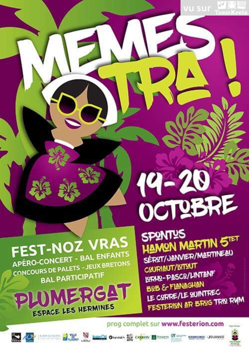 Concert et Fest-Noz à Plumergat