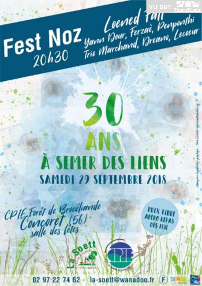 Fest Noz à Concoret