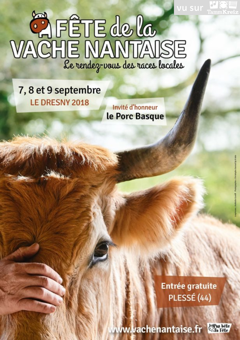Concert à Plessé