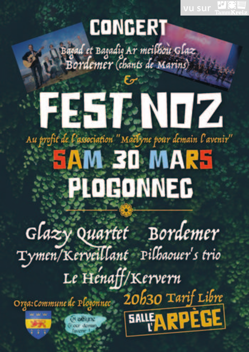 Concert et Fest-Noz à Plogonnec