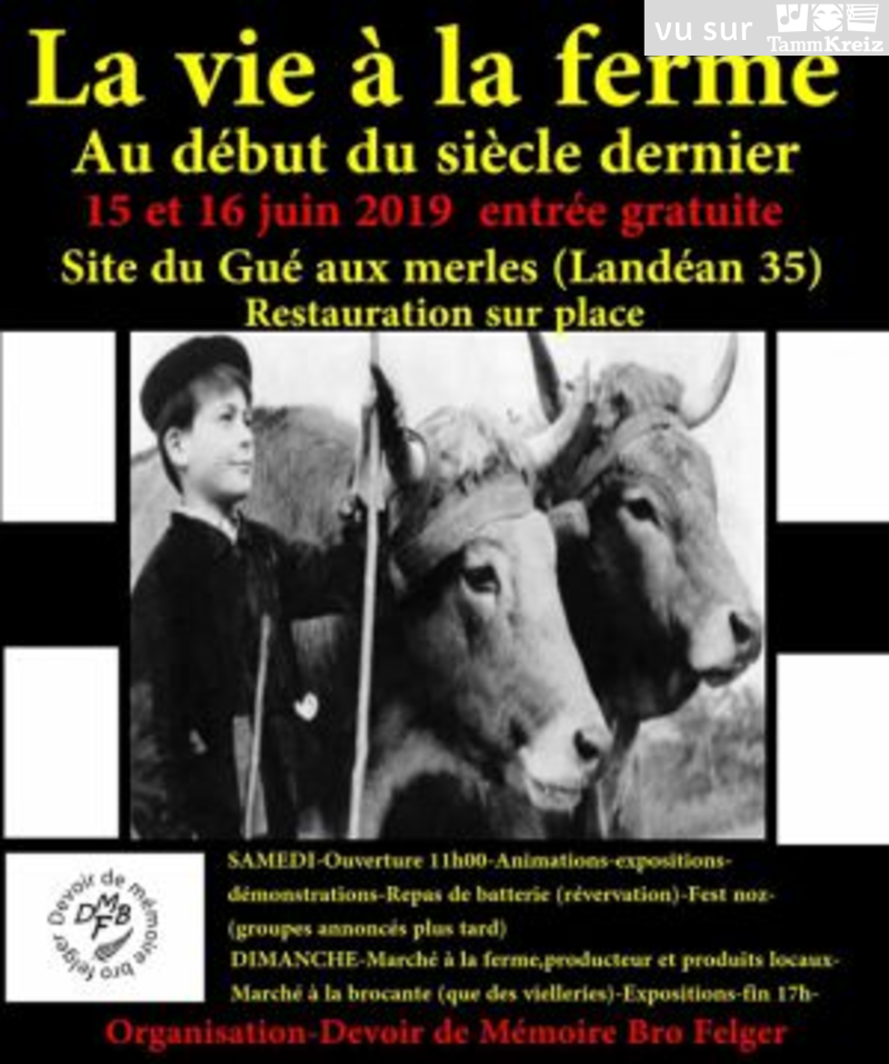 Fest Noz à Fougères