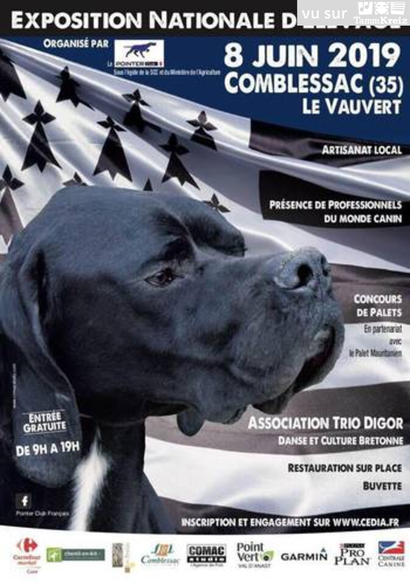Fest Deiz à Comblessac