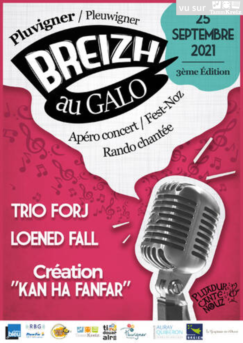 Fest Noz à Pluvigner