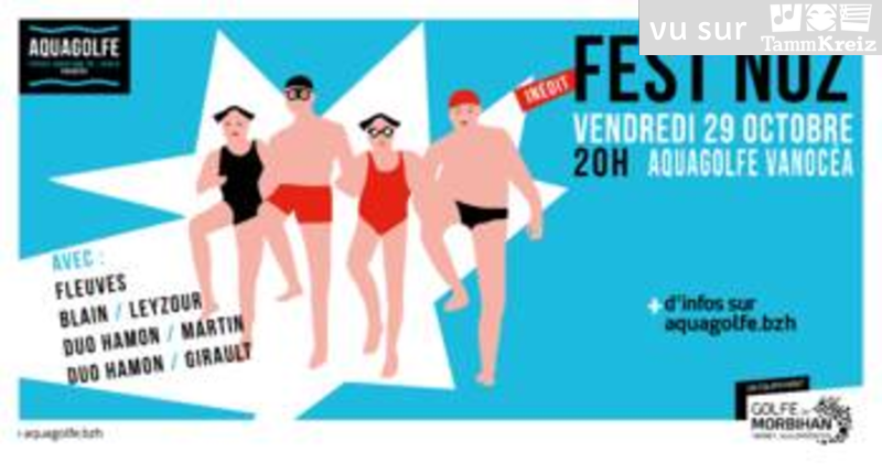 Fest Noz à Vannes