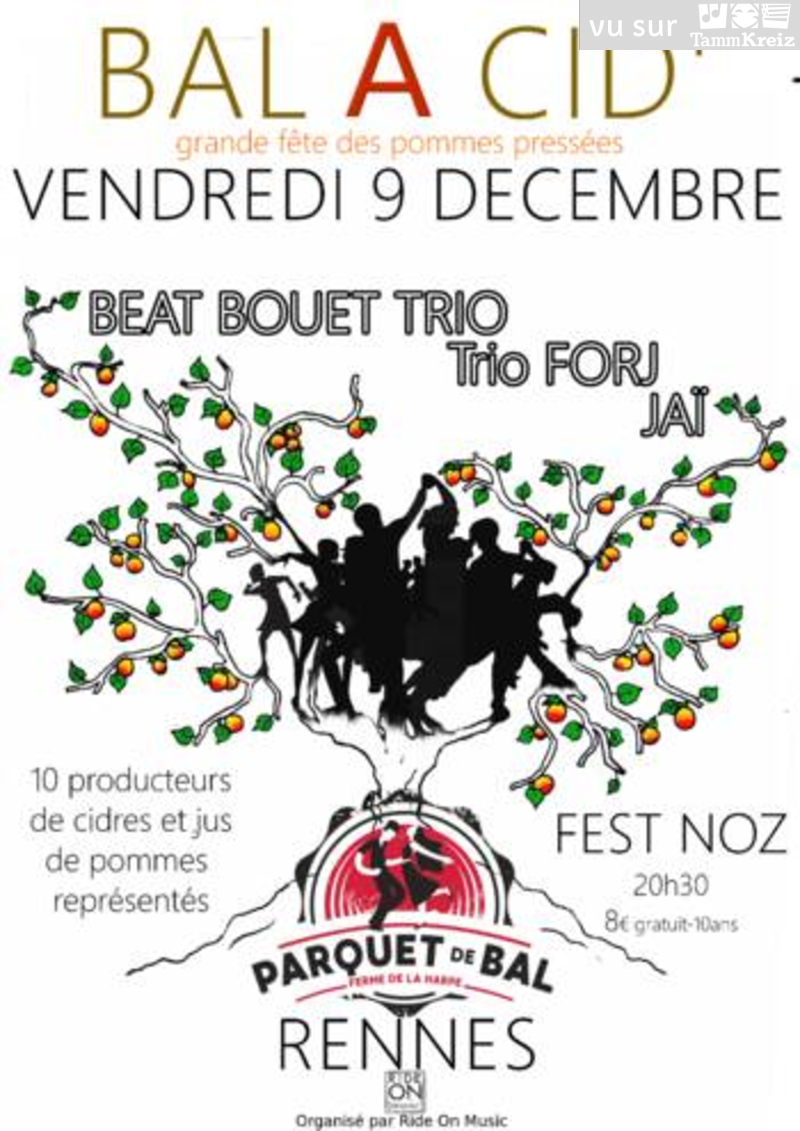 Fest Noz à Rennes