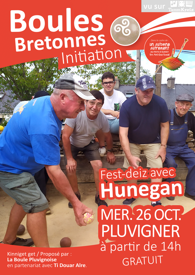 Fest Deiz à Pluvigner
