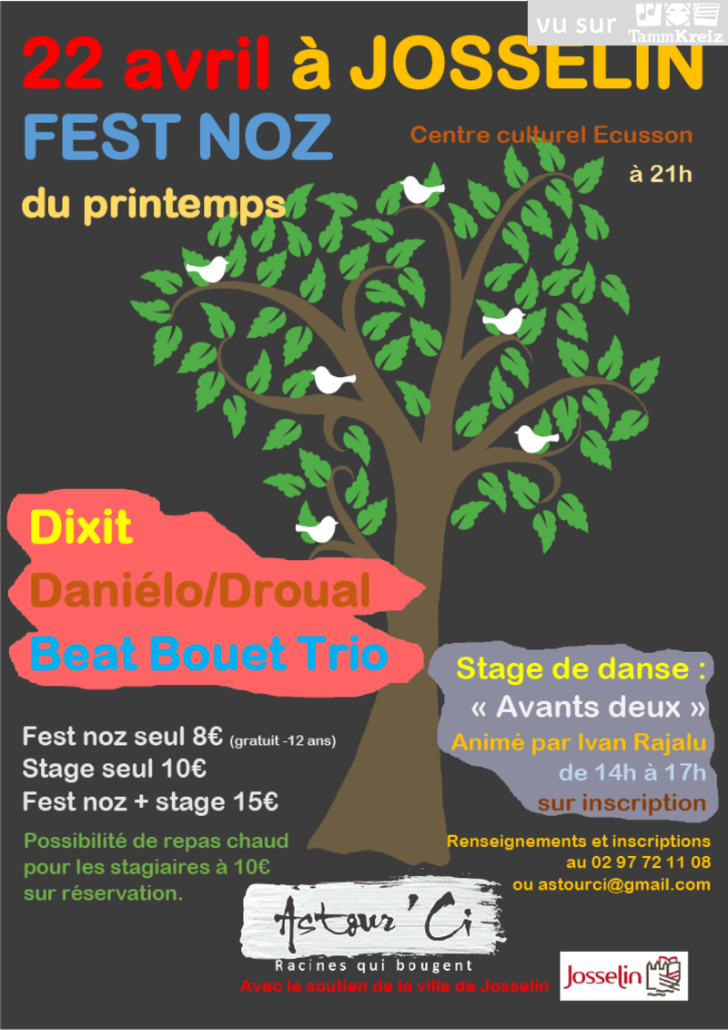 Fest Noz à Josselin