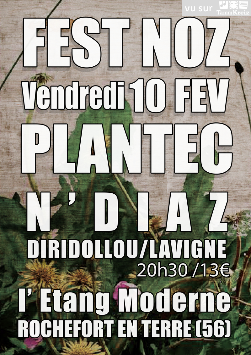 Fest Noz à Rochefort-en-Terre