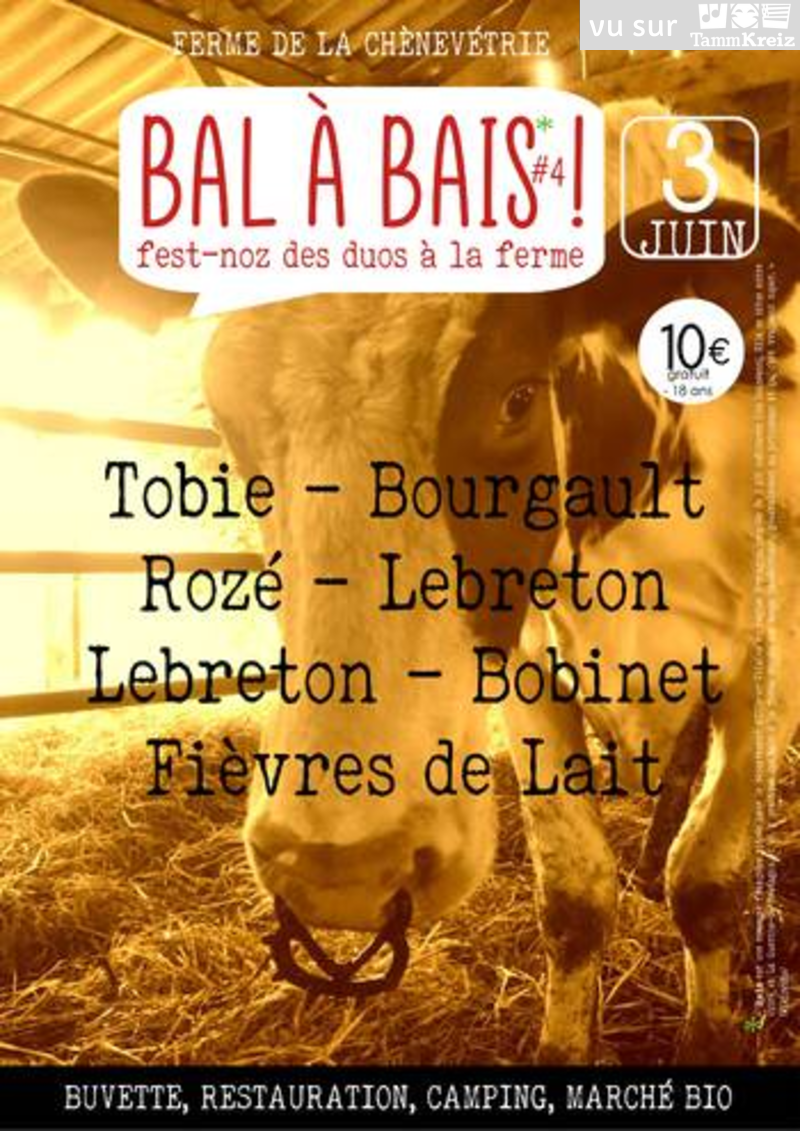 Fest Noz à Bais