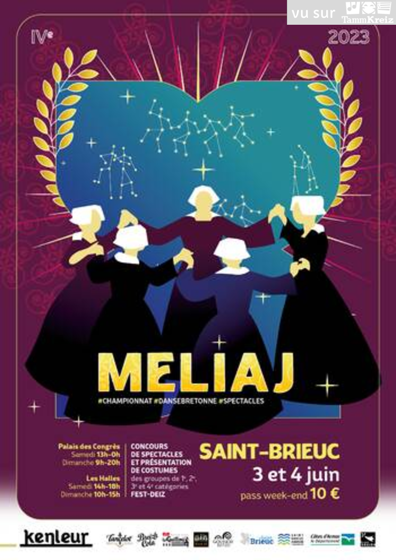 Fest Deiz à Saint-Brieuc