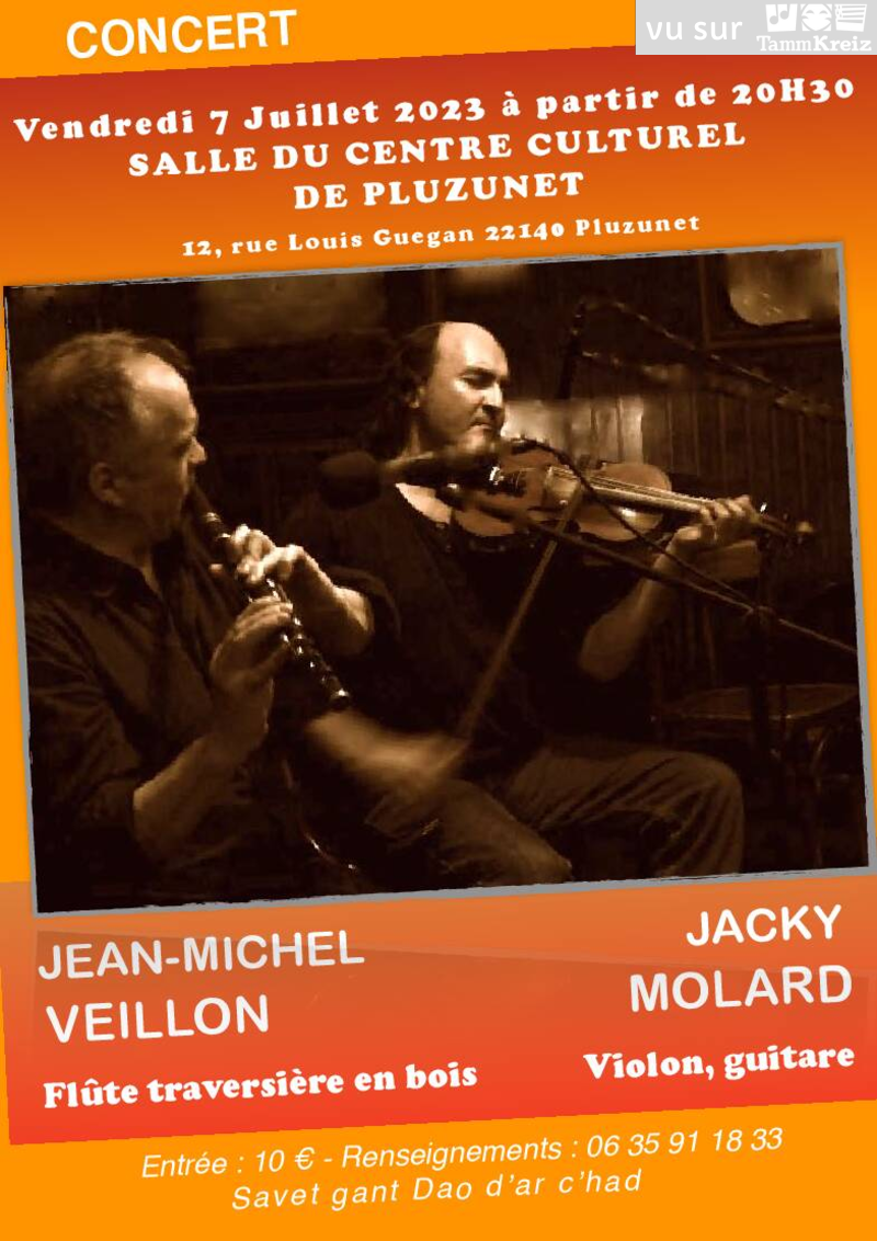 Concert à Pluzunet