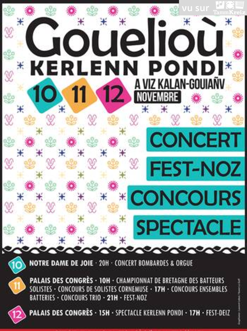 Fest Noz à Pontivy