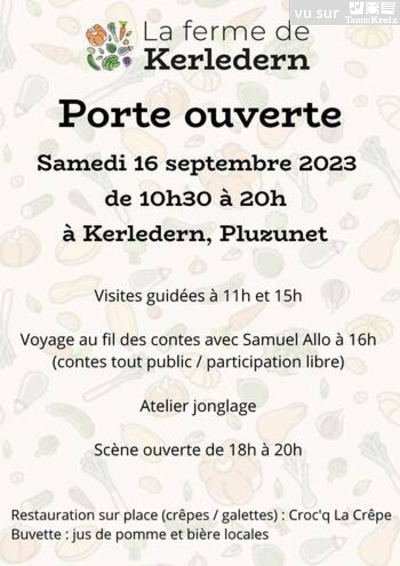 Animation à Pluzunet