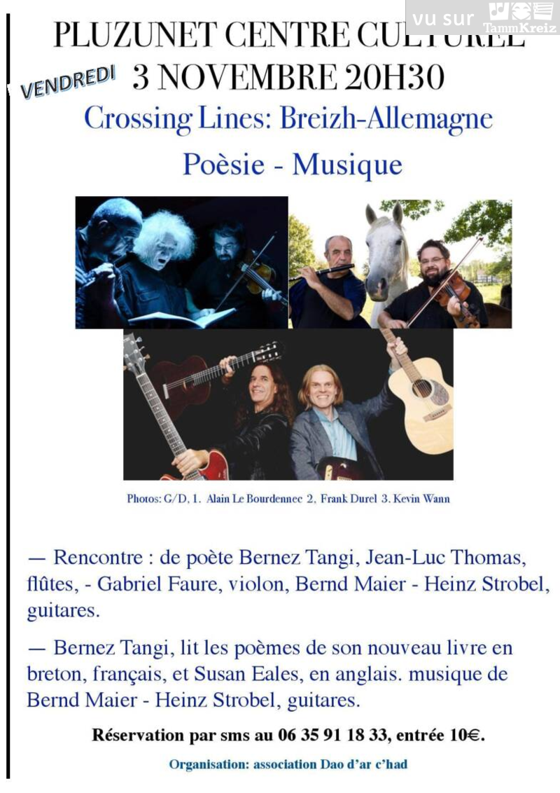 Concert à Pluzunet