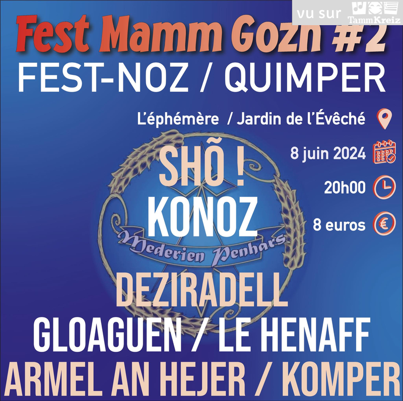 Fest Noz à Quimper