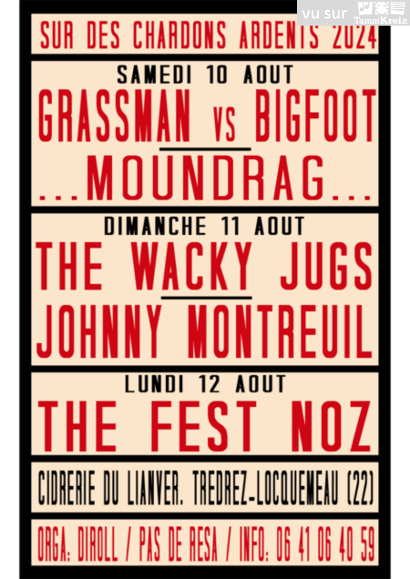 Fest Noz à Trédrez-Locquémeau