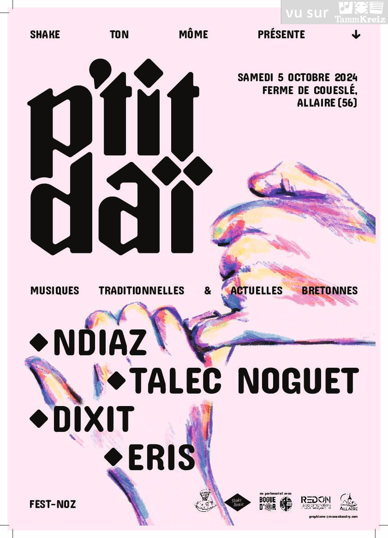 Fest Noz à Allaire