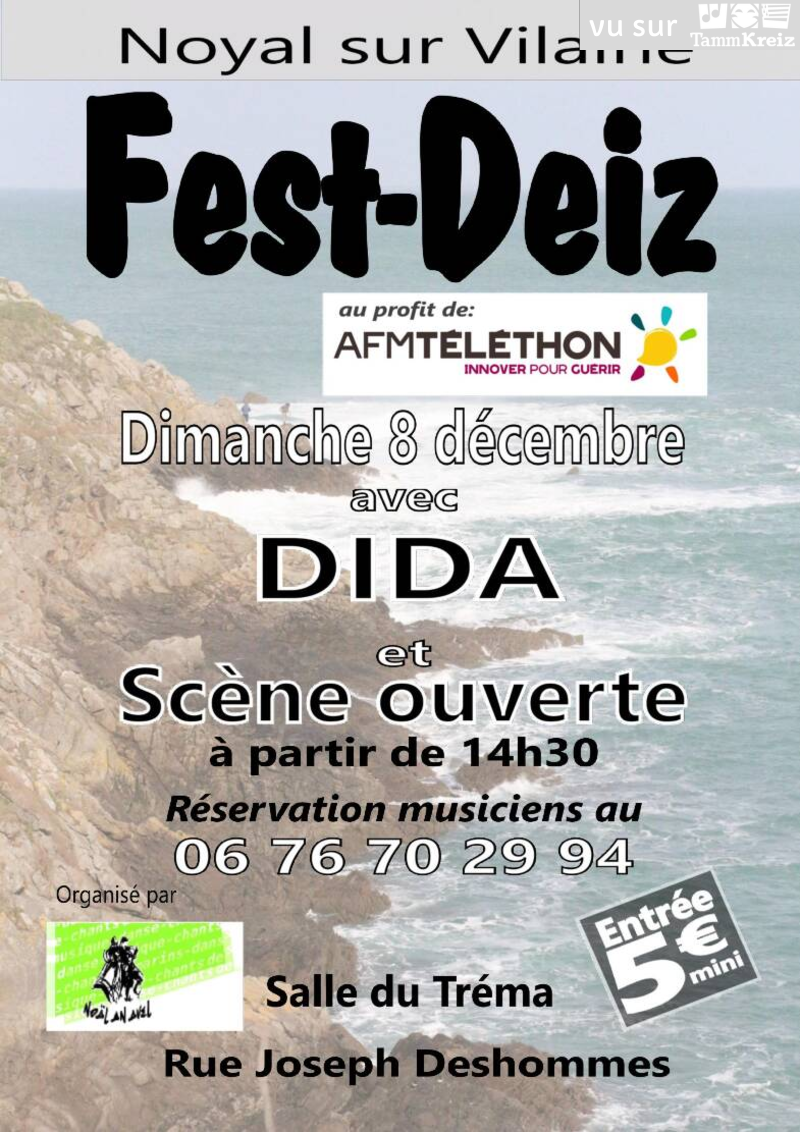 Fest Deiz à Noyal-sur-Vilaine