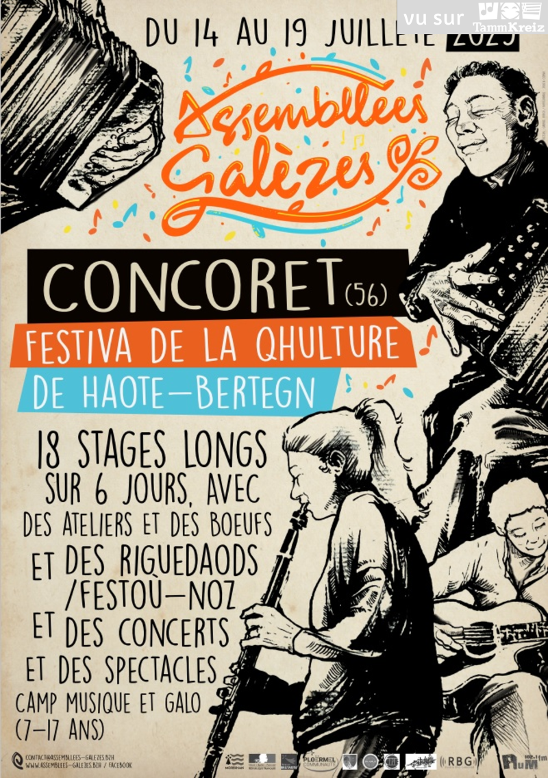 Fest Noz à Concoret