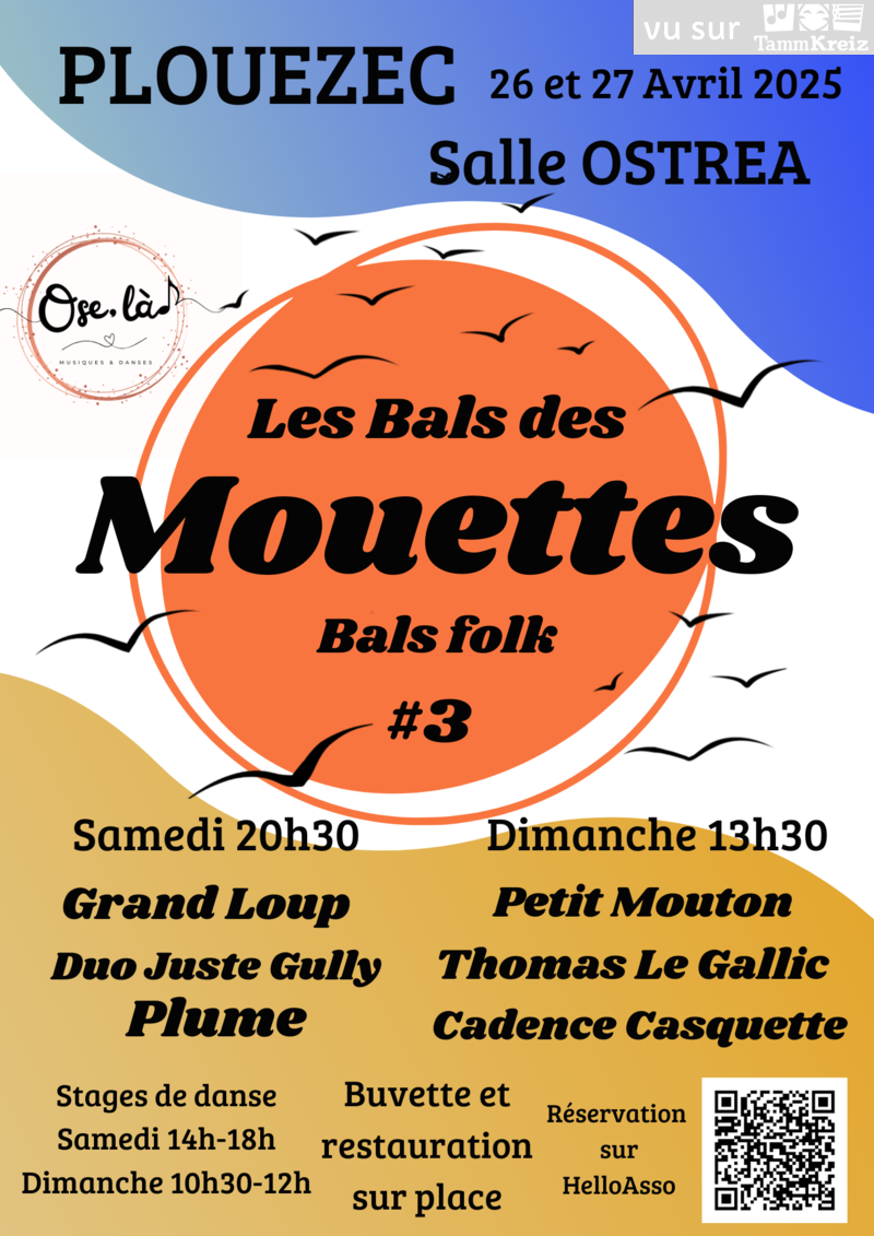 Concert/Bal à Plouézec