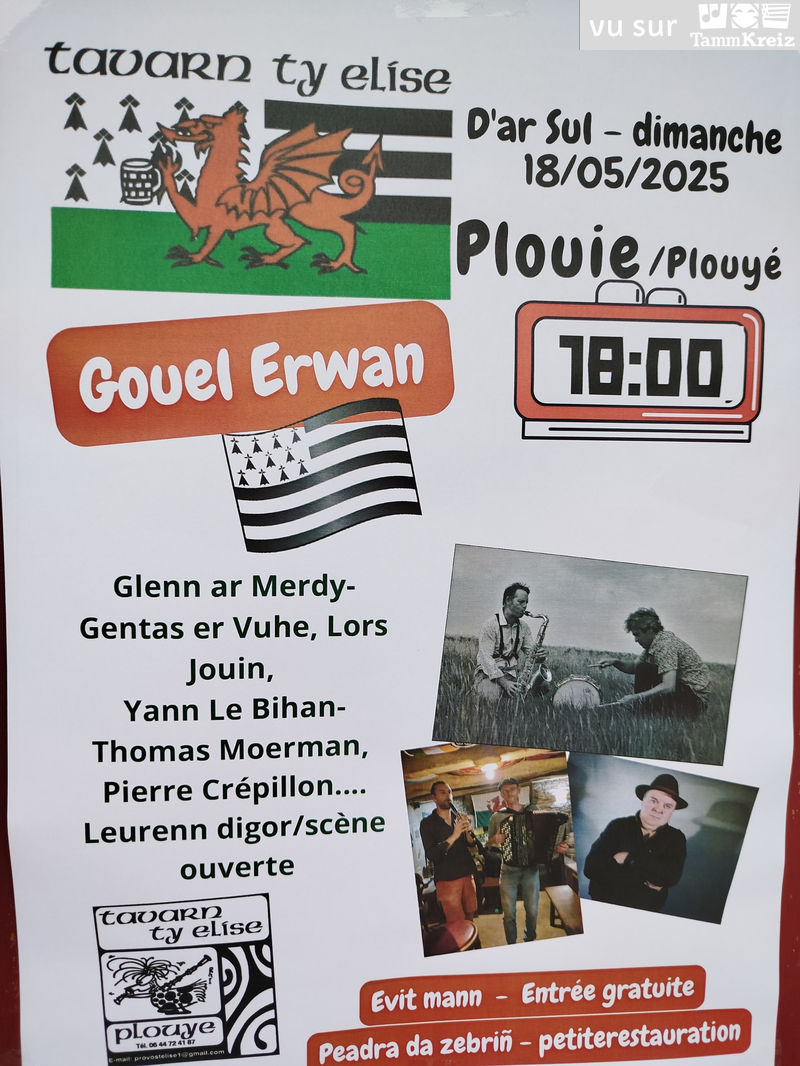 Concert à Plouyé