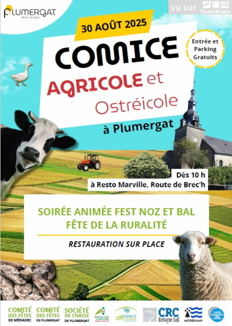 Fest-Noz/Bal folk à Plumergat