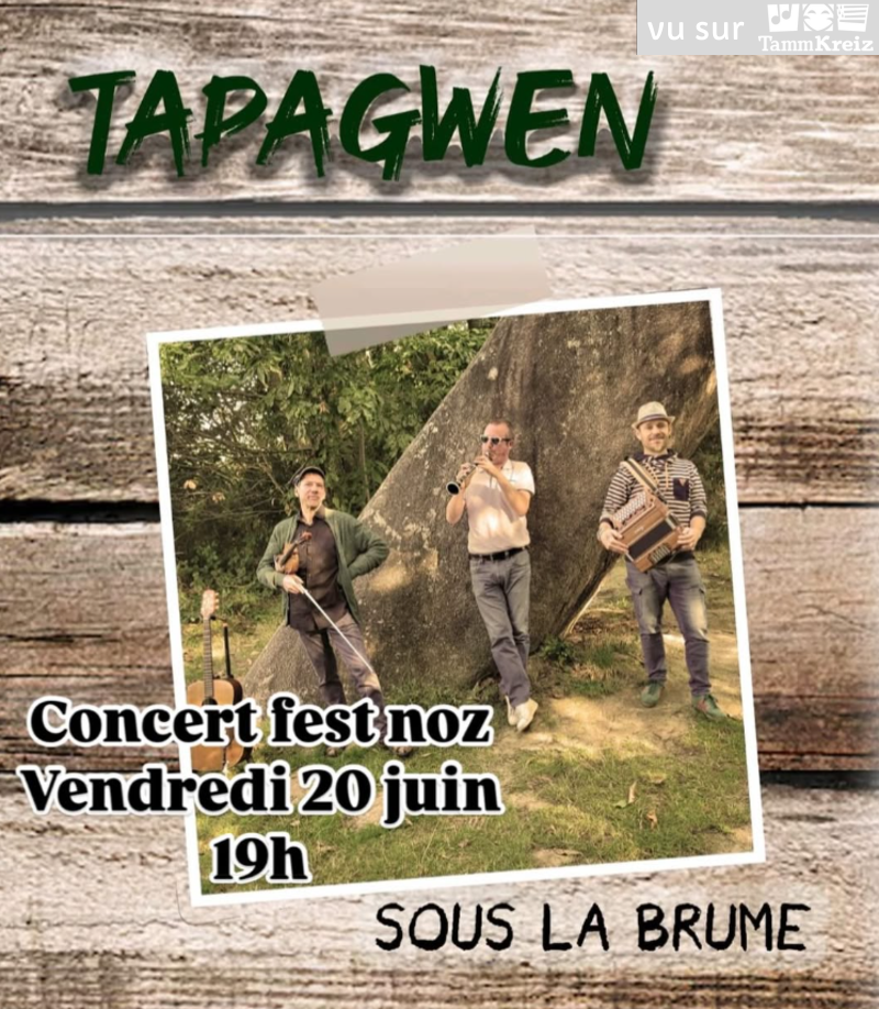 Concert et Fest-Noz à Trévou-Tréguignec