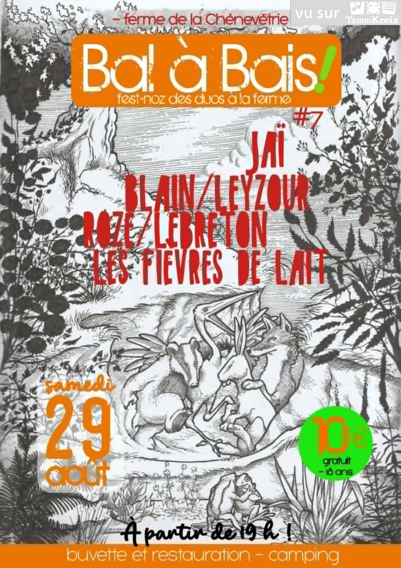 Fest Noz&nbsp;à&nbsp;Bais 