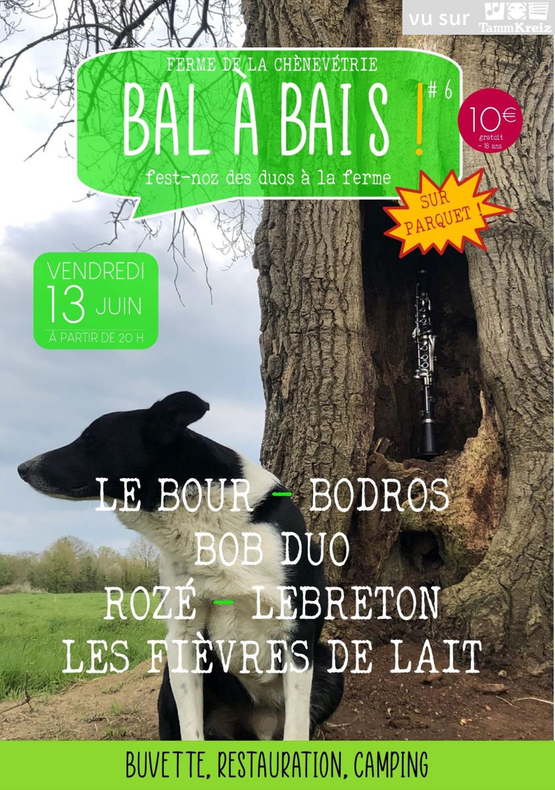Fest Noz à Bais 
