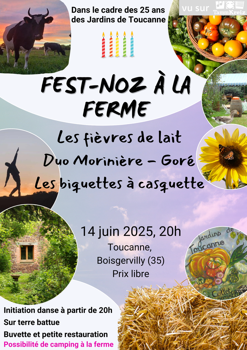 Fest Noz à Boisgervilly