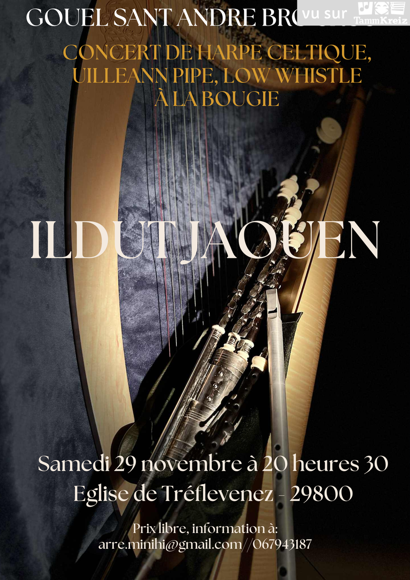 Bal des enfants&nbsp;à&nbsp;Tréflévenez