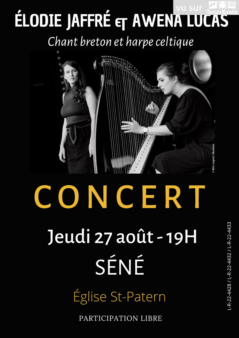 Concert&nbsp;à&nbsp;Séné