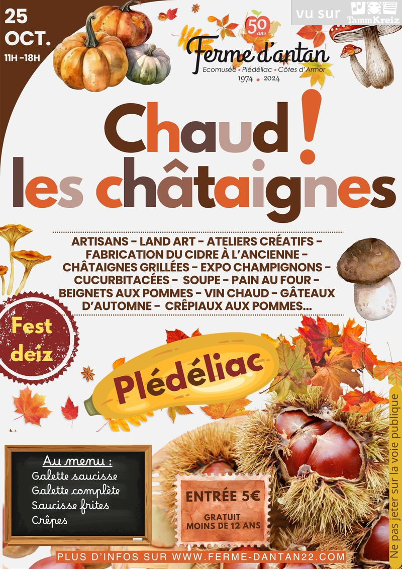 Fest Deiz&nbsp;à&nbsp;Plédéliac